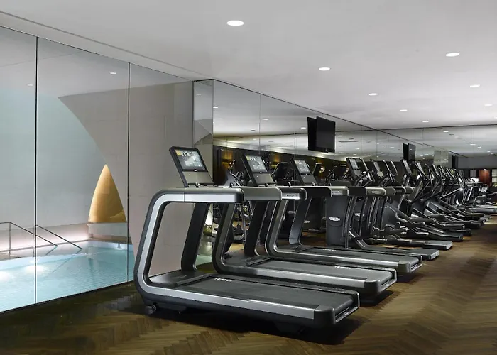 Park Hyatt Hotel Vídeň